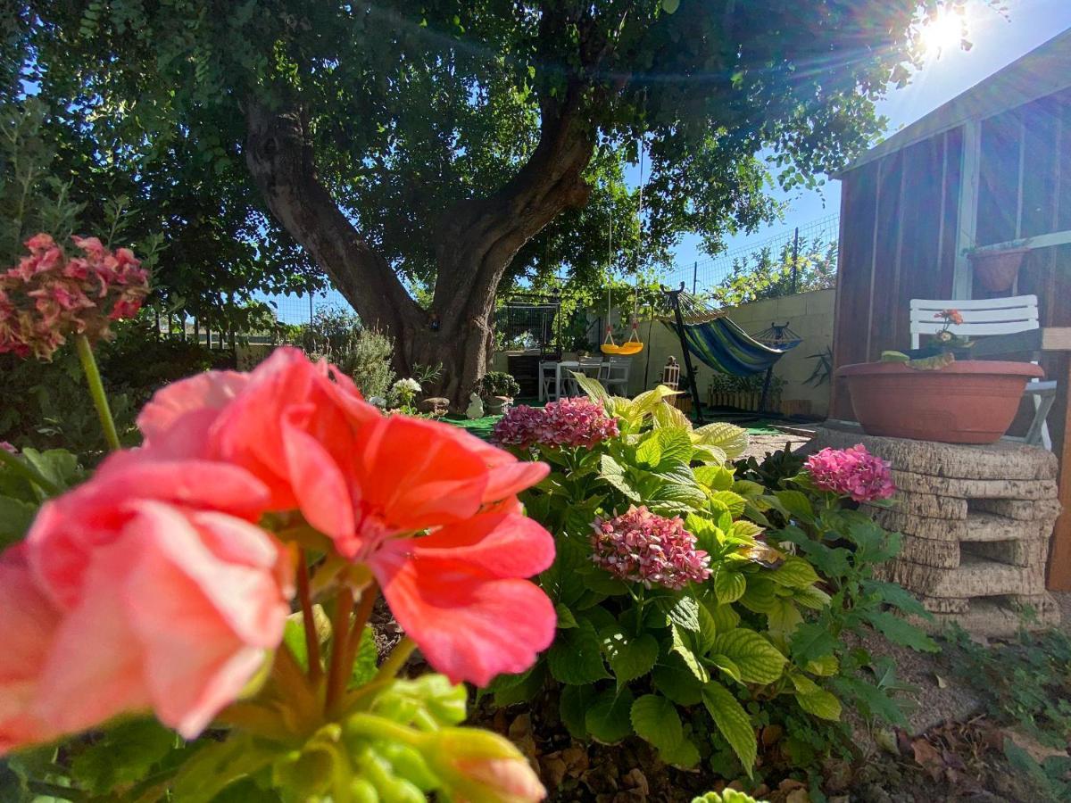 La Casa Del Carrubo Villa Cagliari Dış mekan fotoğraf